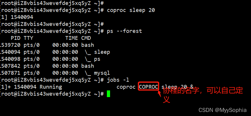 什么情况下会开启子shell Shell 进阶 Myysophia的博客 Csdn博客 启动子shell 什么情况下会开启子shell Shell 进阶 Myysophia的博客 Csdn博客 启动子shell