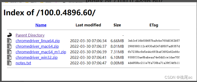 新版selenium4.0 + Python使用详解