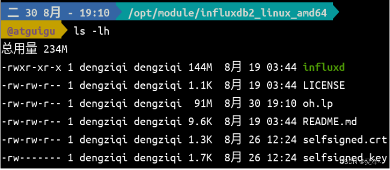 （十六十七）时序数据库是怎么存储用户名和密码的从InfluxDB OSS迁移数据