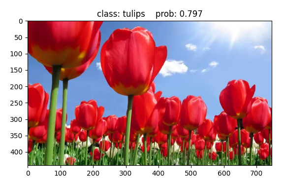 图像分类：AlexNet网络、五分类 flower 数据集、pytorch