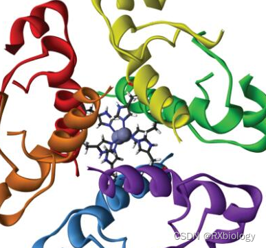 荧光素APC标记猪胰岛素蛋白，Insulin Protein /APC，OVA/RBITC