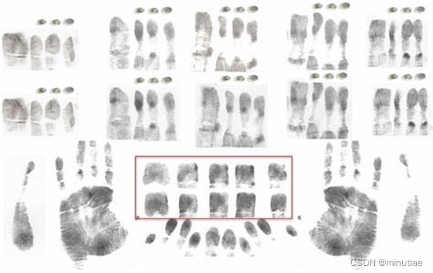 FBI Big Case Fingerprints