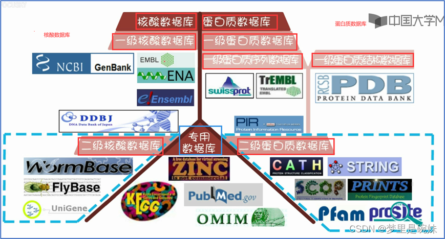 【生信MOOC】生信数据库2_cath数据库-CSDN博客