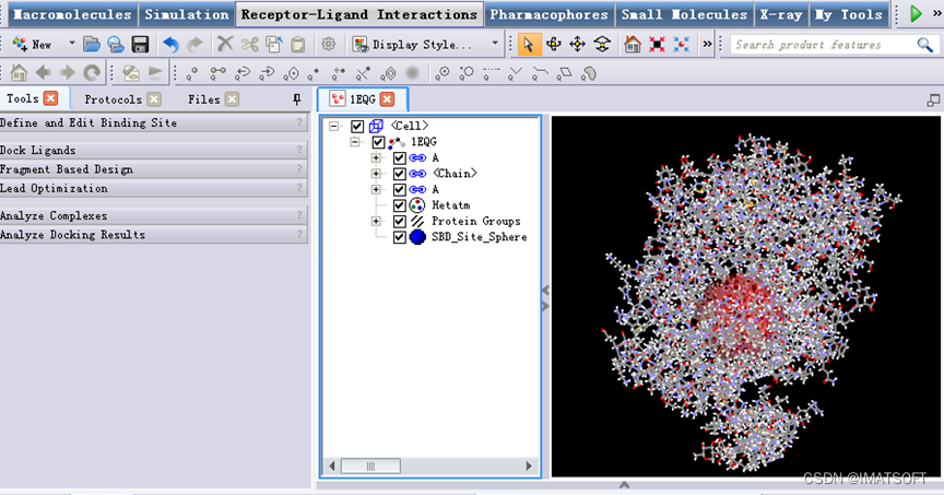 Discovery Studio（Help-Tutorials） 使用MCSS进行基于片段的分子对接_discover studio 的job ...