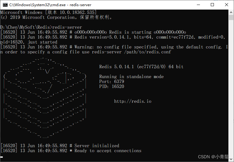 start redis-server