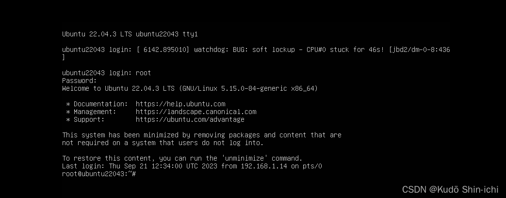 虚拟机VMware Workstation Pro安装配置使用服务器系统ubuntu-22.04.3-live-server-amd64.iso