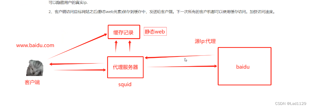 mysql---squid代理服务器