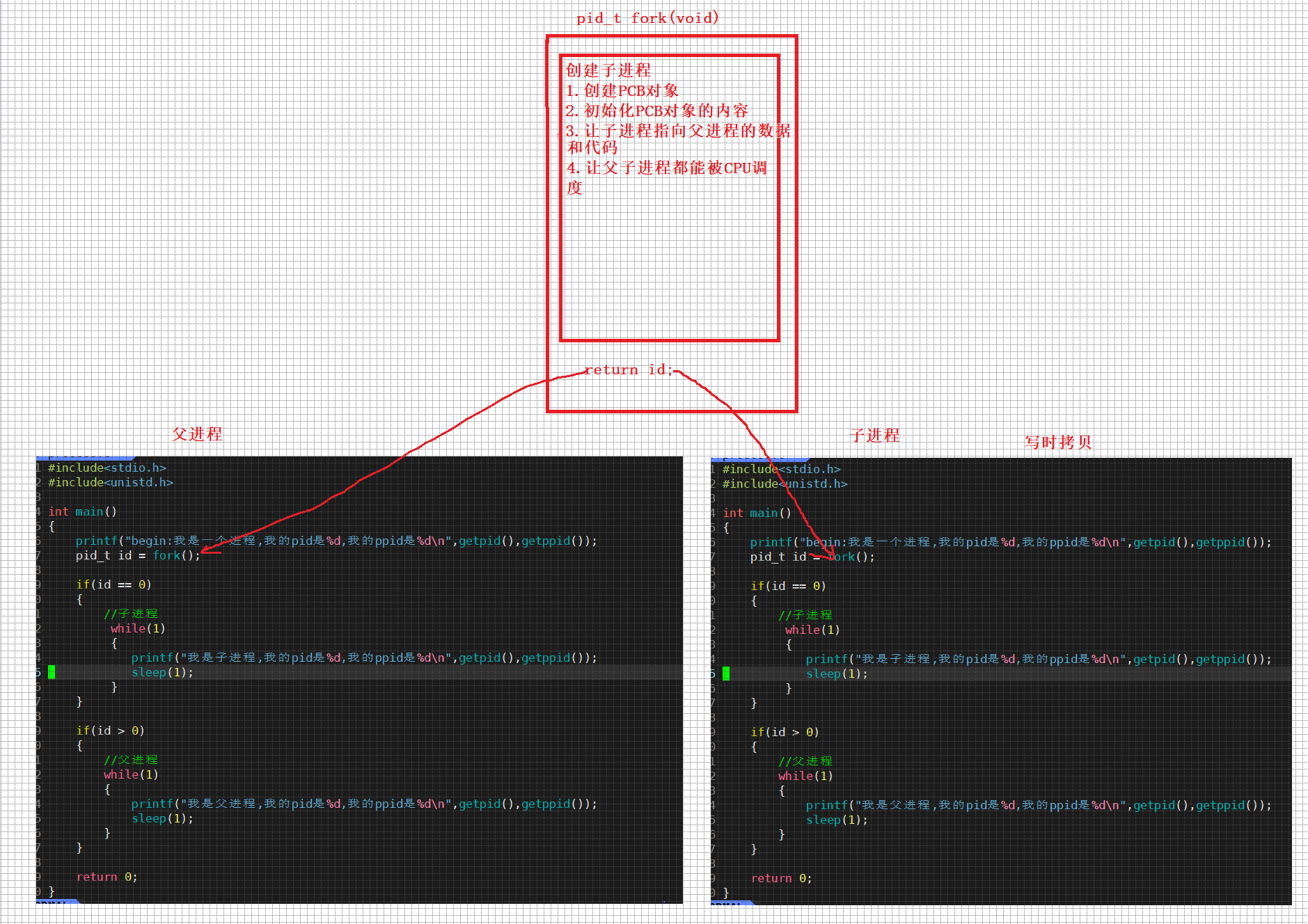 【Linux】进程的基本属性|父子进程关系