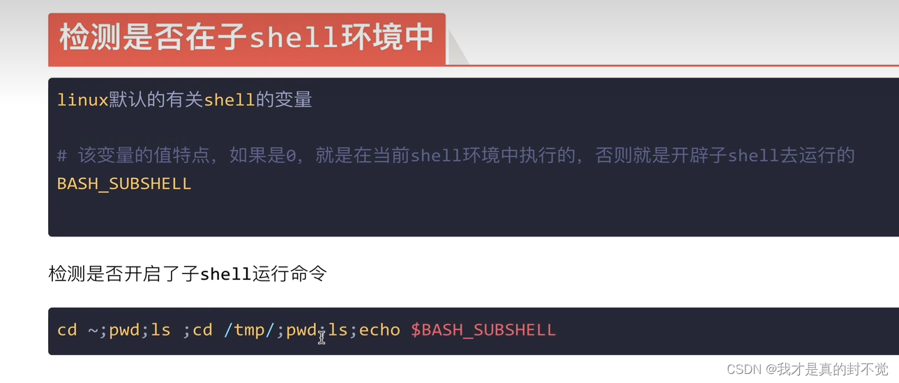 Shell最全笔记 就决定用你了