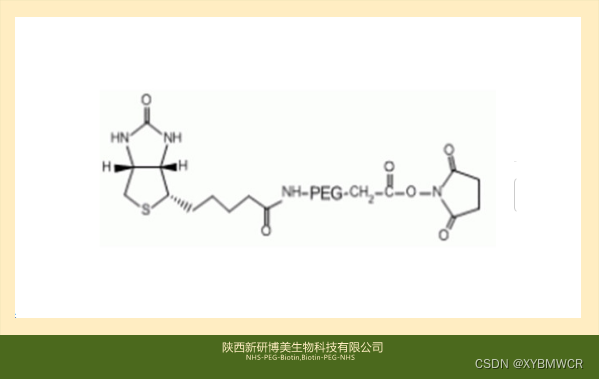 供应生物素PEG衍生物试剂Biotin-PEG-NHS，NHS-PEG-Biotin，生物素PEG活性酯