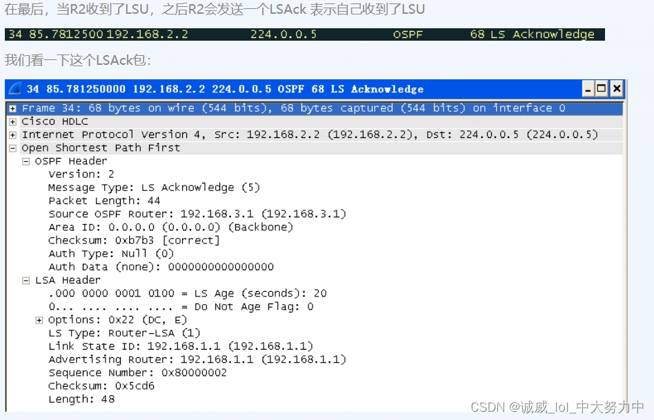 OSPF配置与协议分析