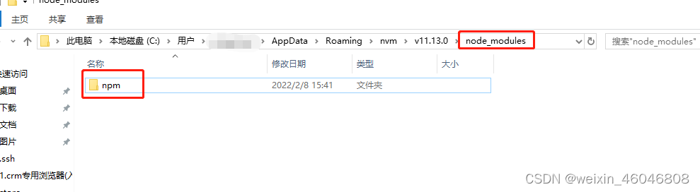插入npm文件夹