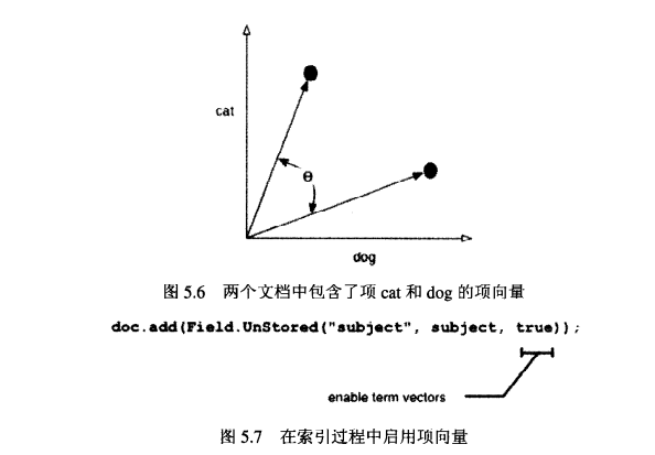 使用项向量