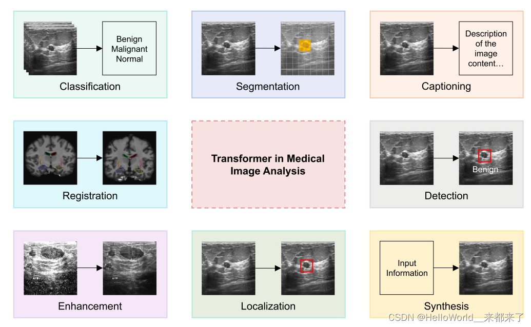 Transformer+医学图像最新进展【2023】