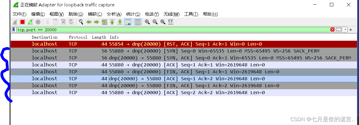 Wireshark+Go捕获本地TCP通信