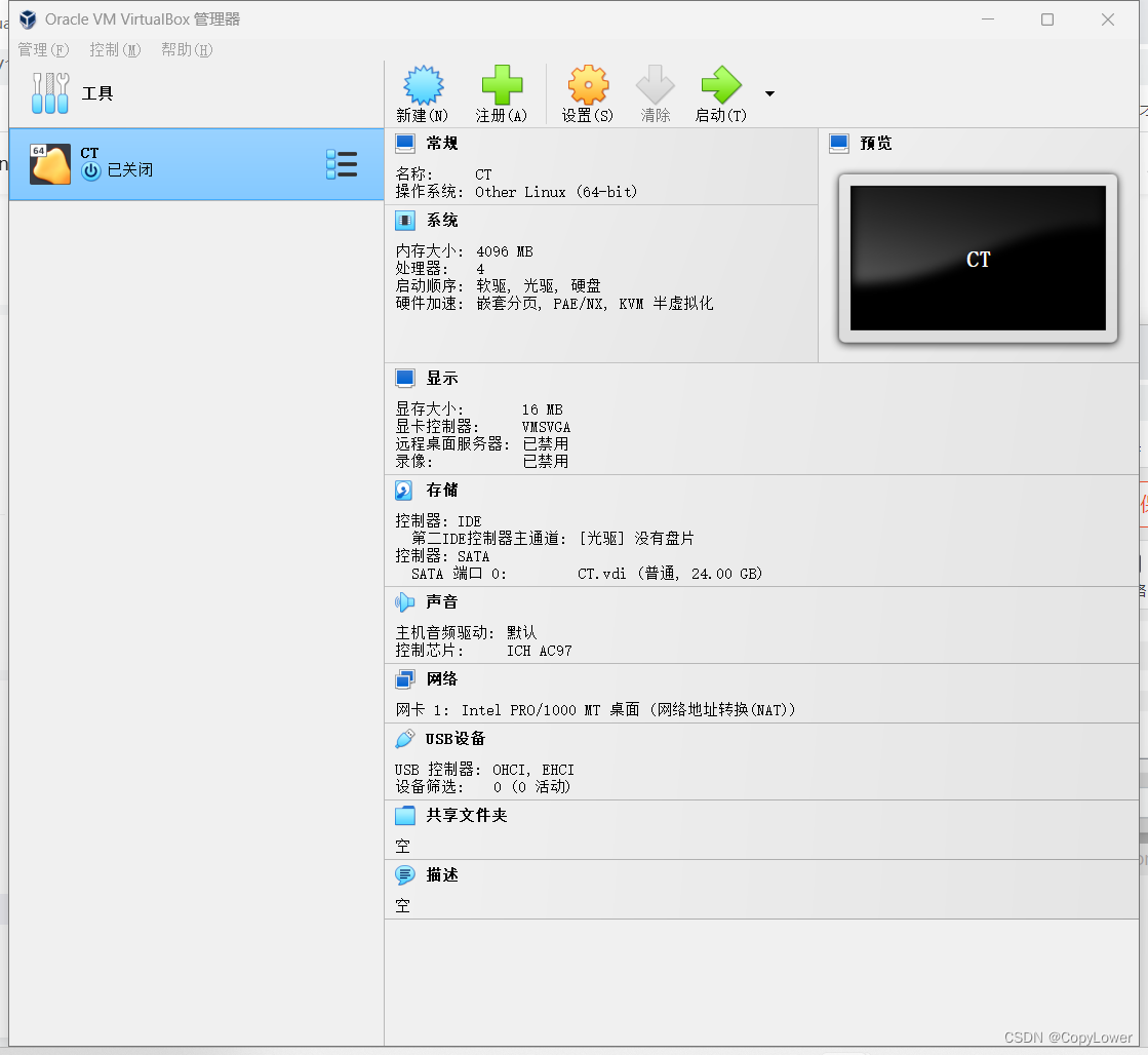 完成创建可以查看虚拟主机的信息