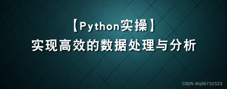 如何在Python中实现高效的数据处理与分析