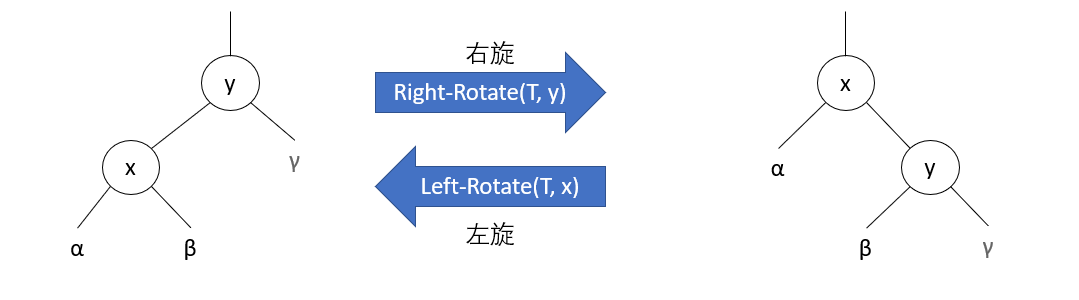 左旋和右旋