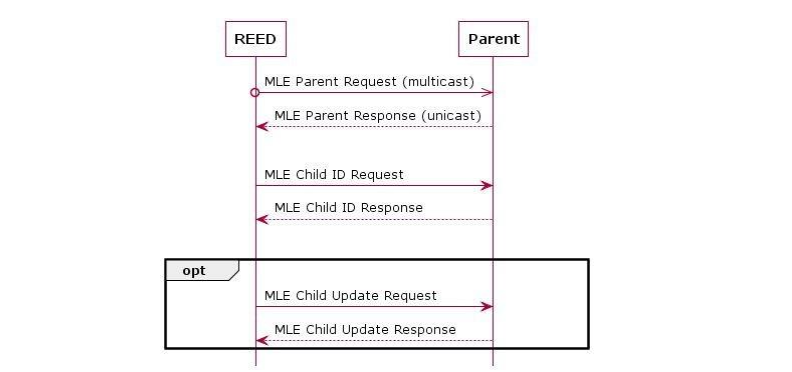 图4. 带有Thread网络凭据的终端设备（REED）连接到父路由器