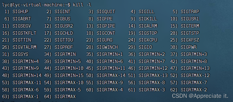 Day 52 Linux 共享内存通信 进程组和会话 信号机制 信号的产生