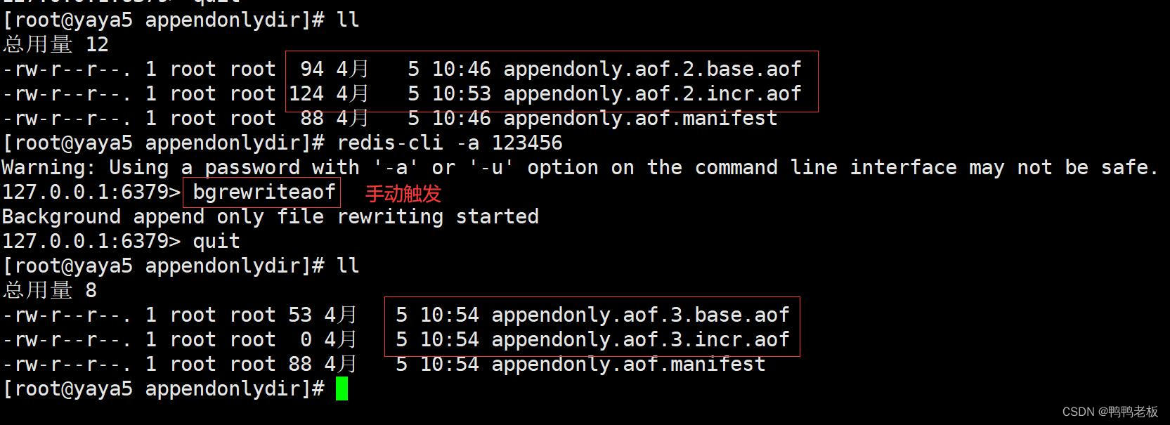 redis --- AOF(Append Only File)