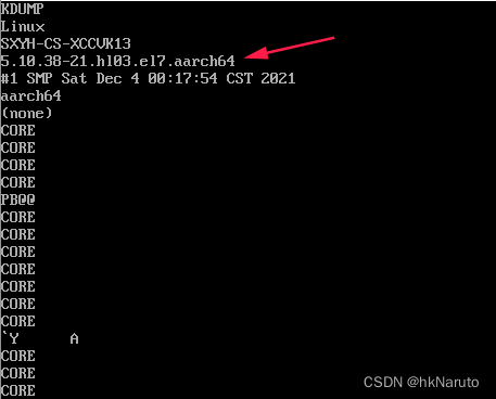 linux strings查看vmcore对应内核版本