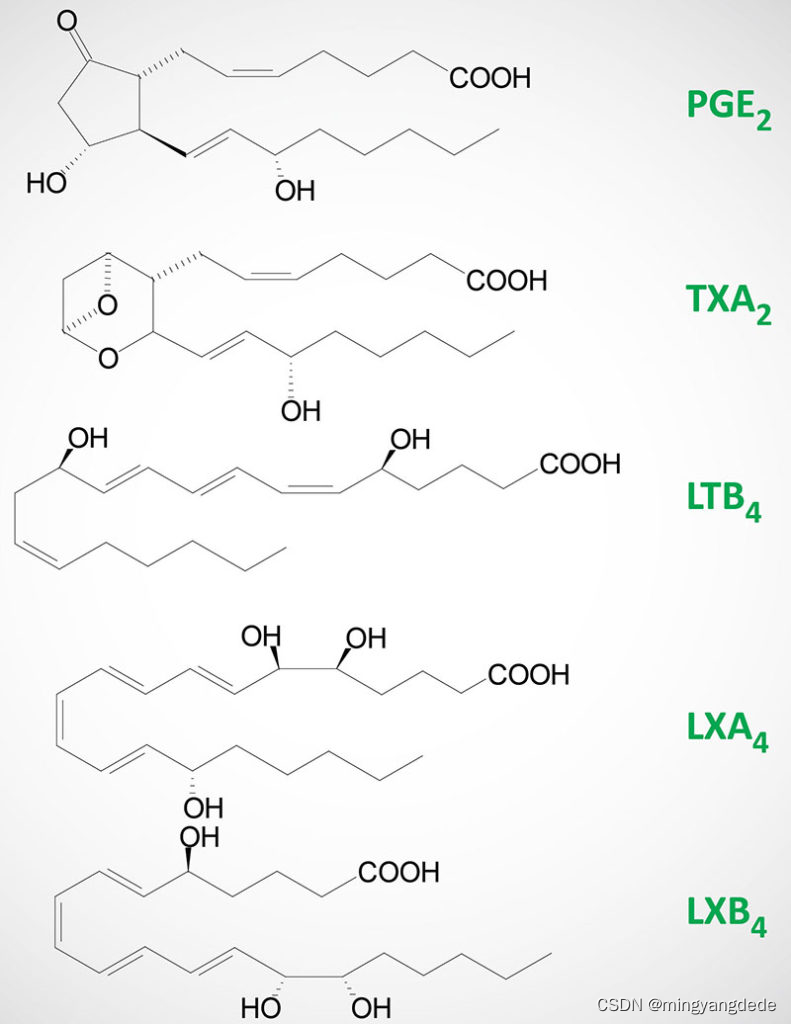 【 前列腺素 ； COX + P450；阿司匹林-NSAI】