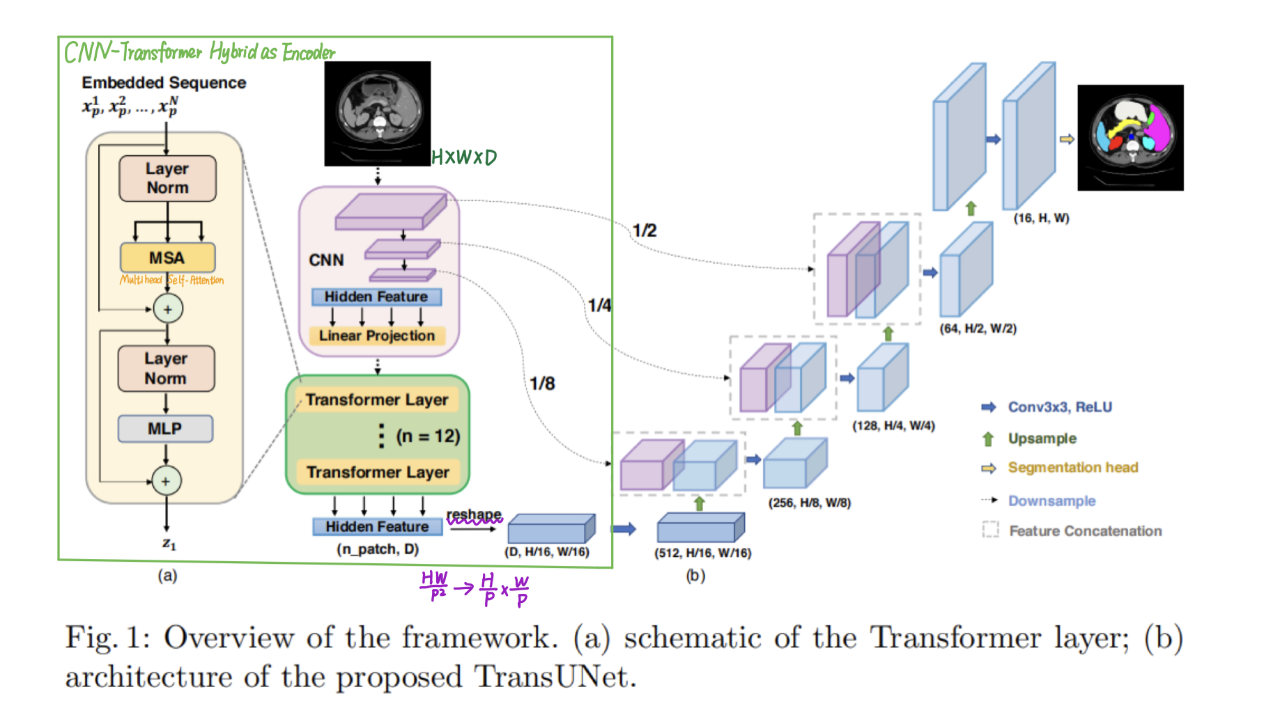 基于深度学习的医学图像分割(十)transunet_r 语言 病理切片 深度学习