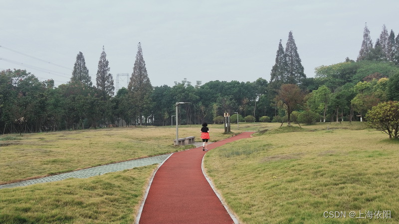 低温烹饪过程中真空压力的自动控制