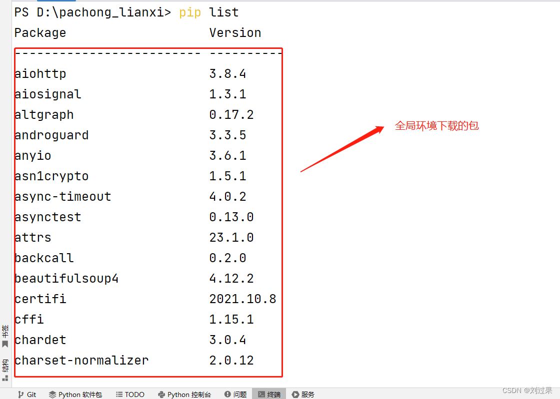 pip list显示的包