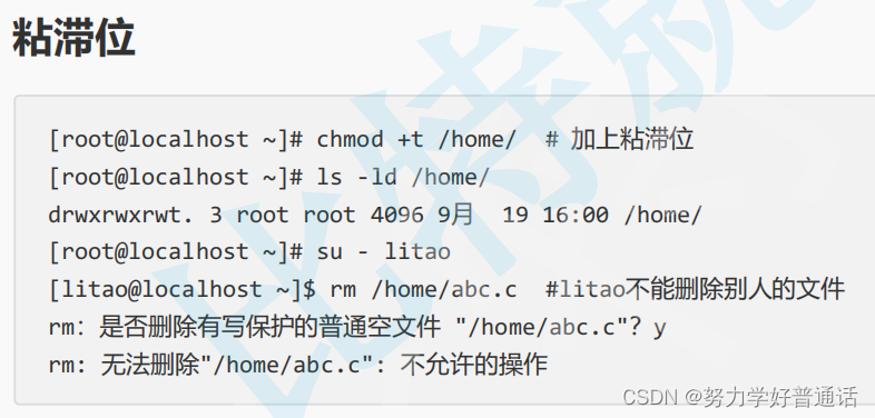 linux常见指令以及权限理解