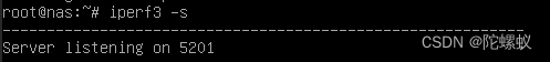 运行iperf3在服务器端，默认端口号为5201