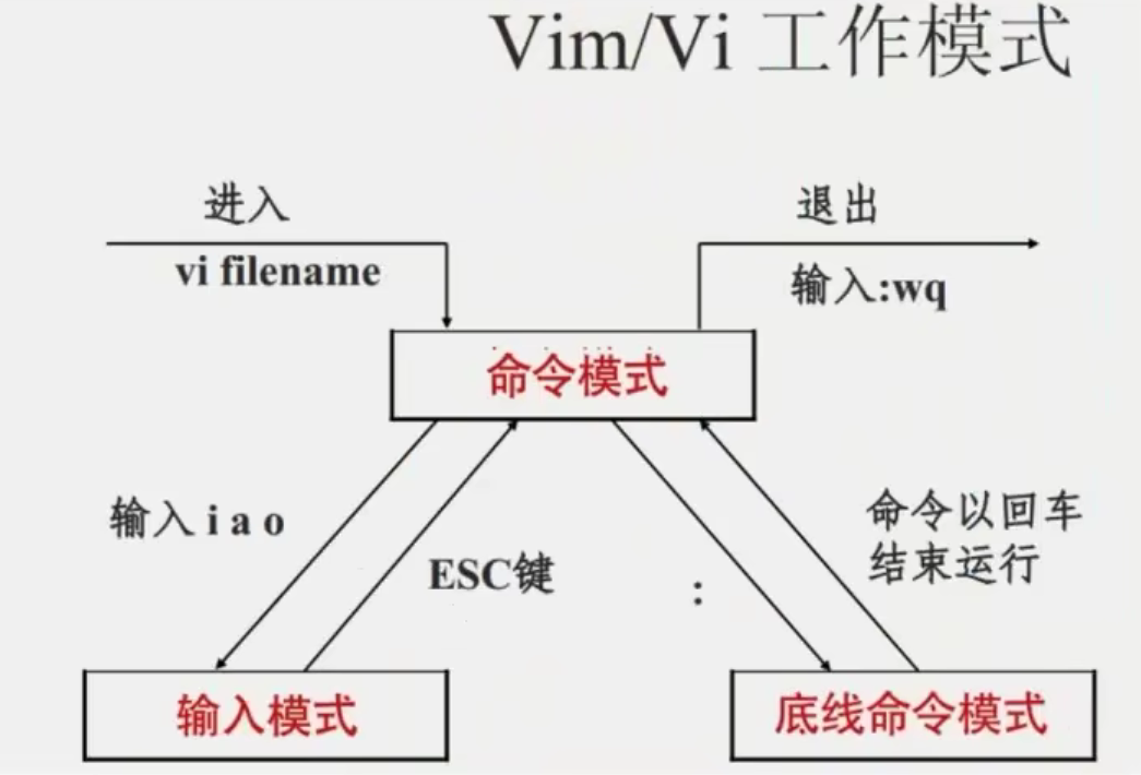 Linux学习笔记——Linux基础命令