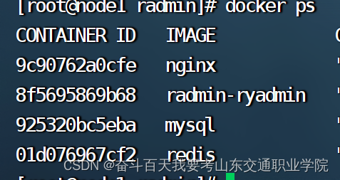 docker 部署 若依 Ruoyi springboot+vue分离版 dockerCompose