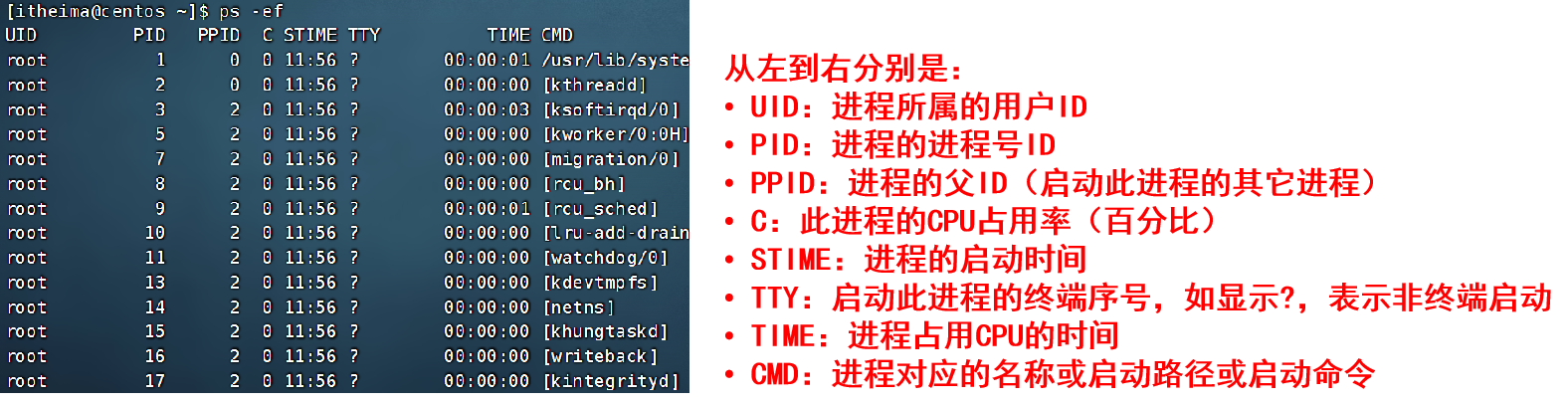 ここに画像の説明を挿入