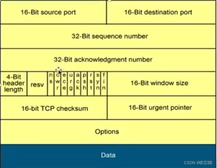 TCP header