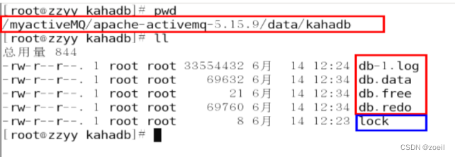 ActiveMQ的消息存储和持久化