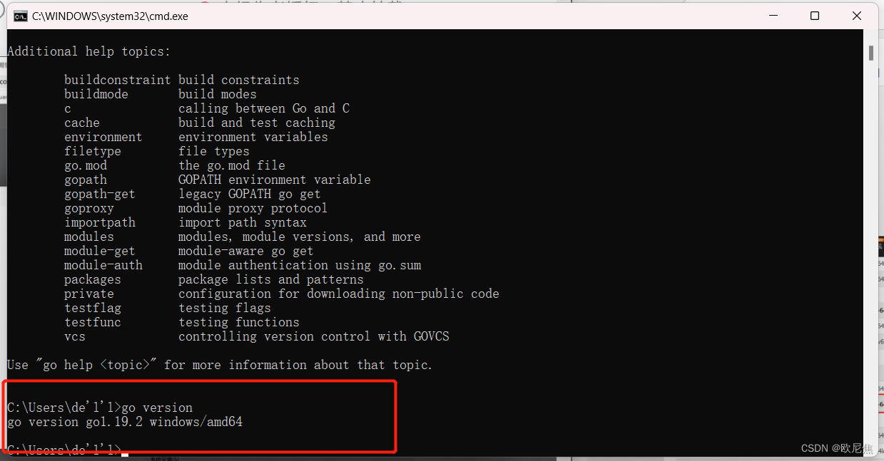 Golang Study Notes_Design in 2022_package fmt is not in stdCSDN博客