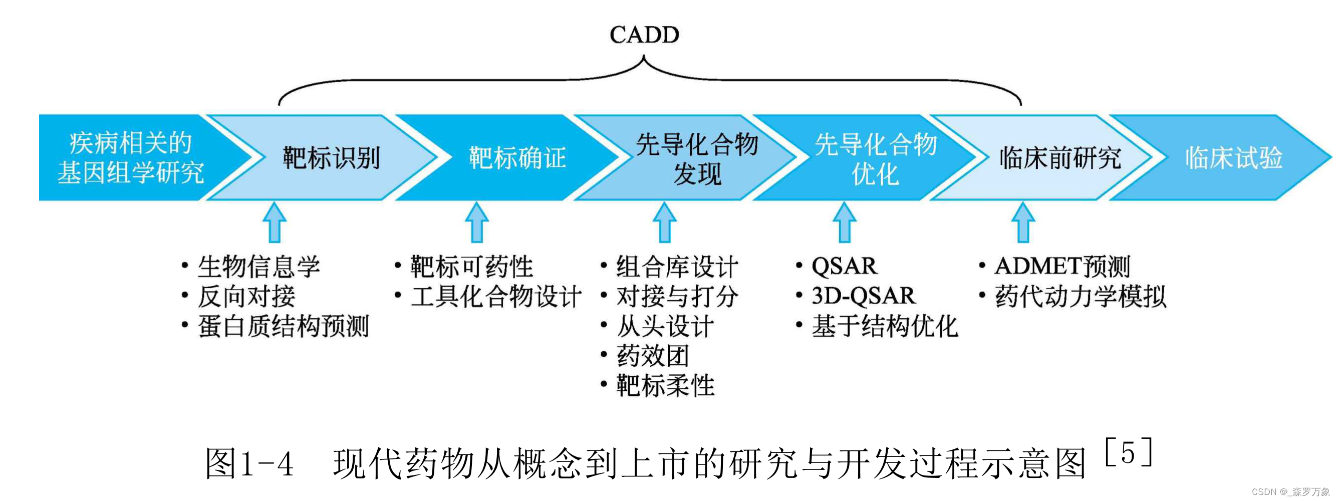 药物设计学笔记：导论篇