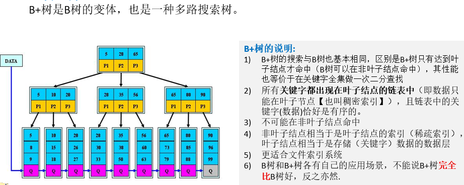 B+树