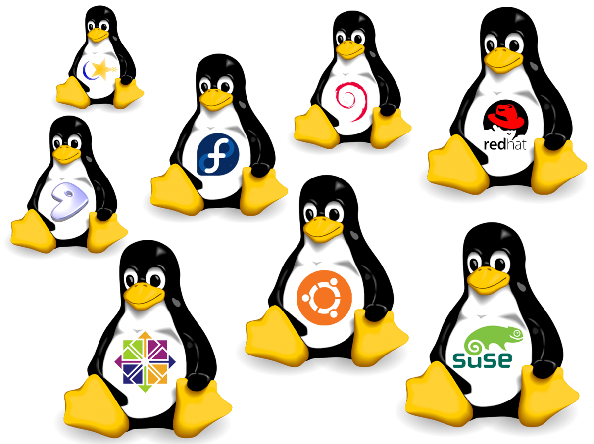 如何在 Linux 中创建新的 Ext4 文件系统？_如何创建一个ext4文件系统-CSDN博客