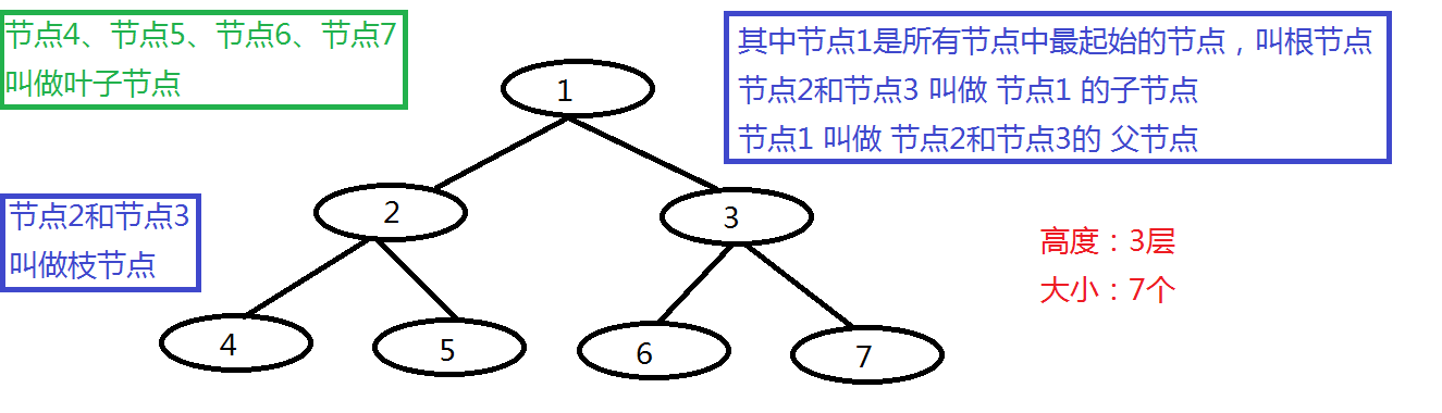 二叉树的基本概念