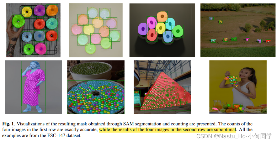 【SAM系列】CAN SAM COUNT ANYTHING? AN EMPIRICAL STUDY ON SAM COUNTING