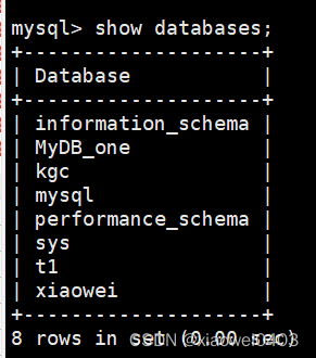 mysql show databases users