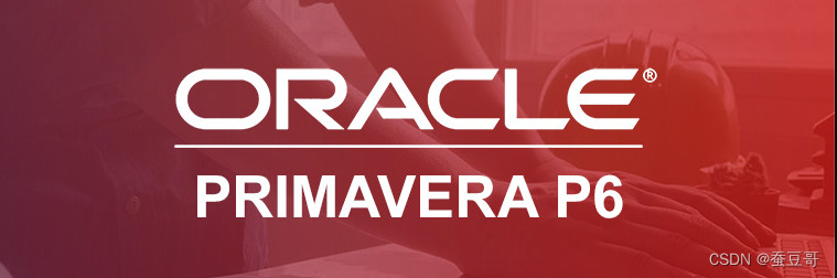 Oracle Primavera P6 学习地图(Updating)