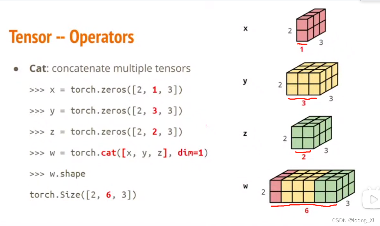 pytorch tensor维度;tensor求导 backward、获取梯度grad;optimizer梯度更新zero_grad、step ...