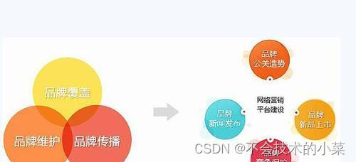 如何进行SEO优化数据分析？（掌握正确的数据分析方法，让您的网站更上一层楼！）