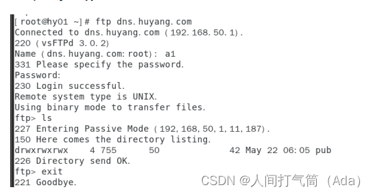 运维小白必学篇之基础篇第十六集：DNS架构FTP实验