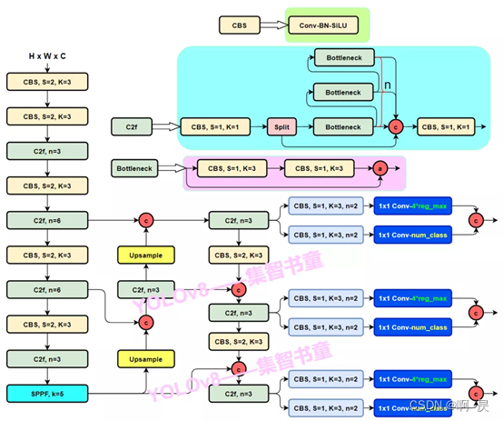 YOLOv8 Architecture