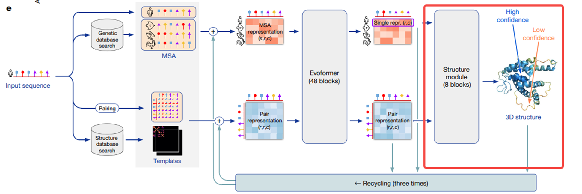 【论文分享】AF2:Highly accurate protein structure prediction with AlphaFold ...